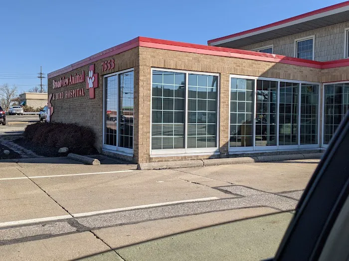 Broadview Animal & Bird Hospital: Shaw S DVM Picture 4