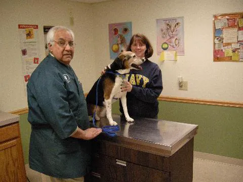 Aaron Animal Clinic Picture 3