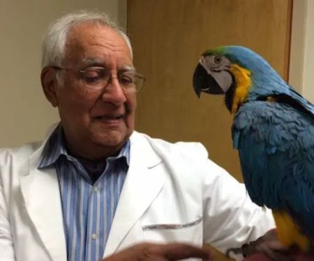 Aaron Animal Clinic