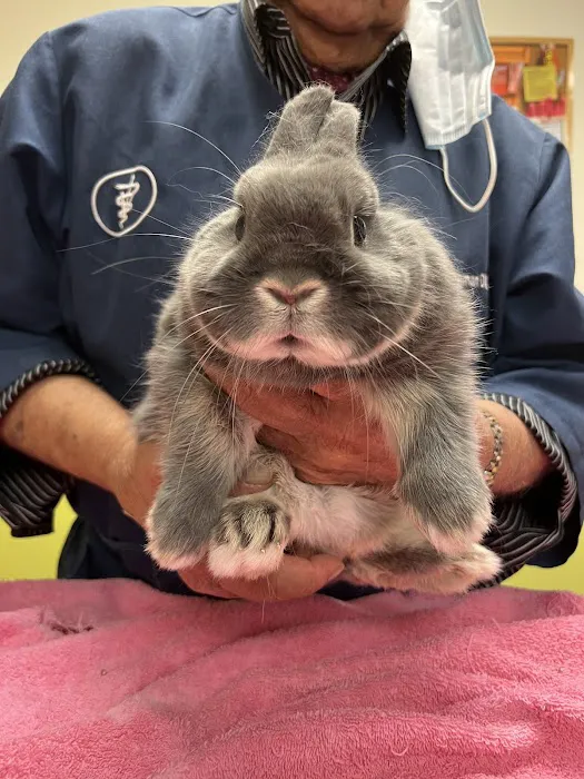Aaron Animal Clinic Picture 10