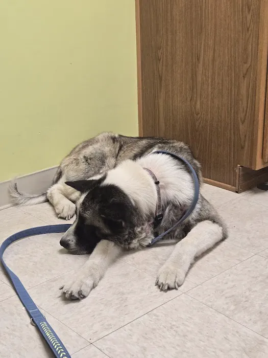 Aaron Animal Clinic Picture 9