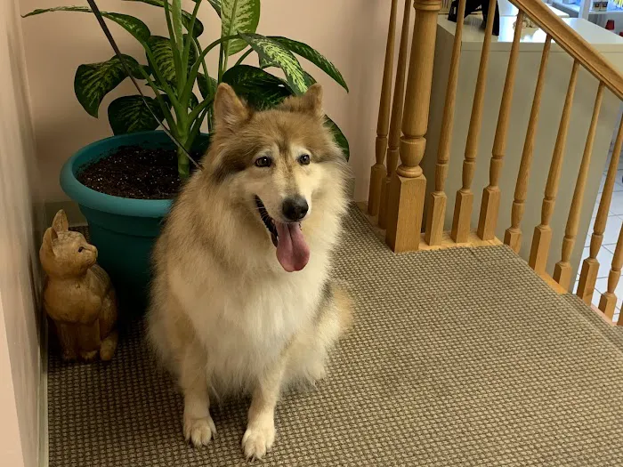 Aaron Animal Clinic Picture 6