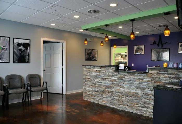 Greystone Veterinary Hospital + Urgent Care Picture 2