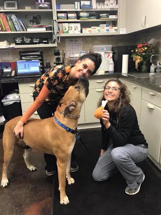 Greystone Veterinary Hospital + Urgent Care Picture 4