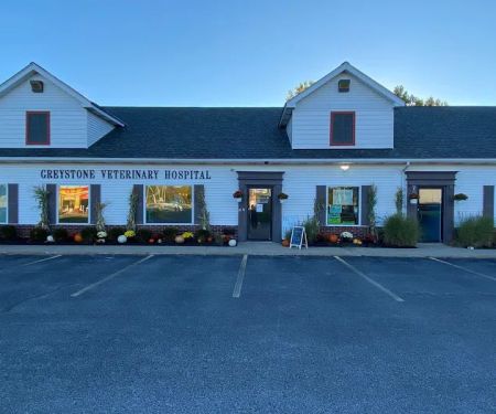 Greystone Veterinary Hospital + Urgent Care