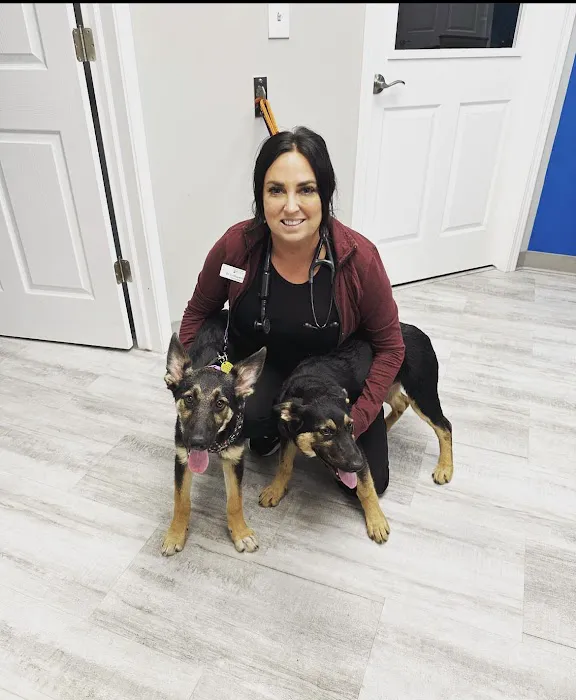 Greystone Veterinary Hospital + Urgent Care Picture 10
