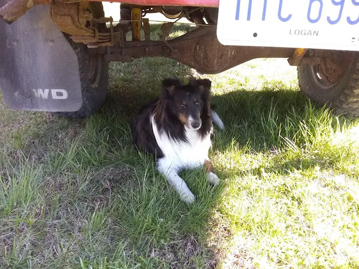 Meigs Veterinary Clinic Picture 1