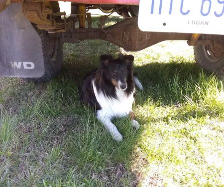 Meigs Veterinary Clinic