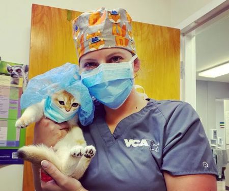 VCA Fairfield Animal Hospital