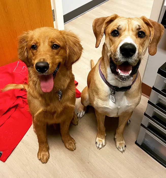 VCA Fairfield Animal Hospital Picture 9