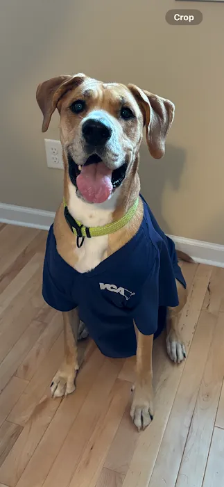 VCA Fairfield Animal Hospital Picture 10