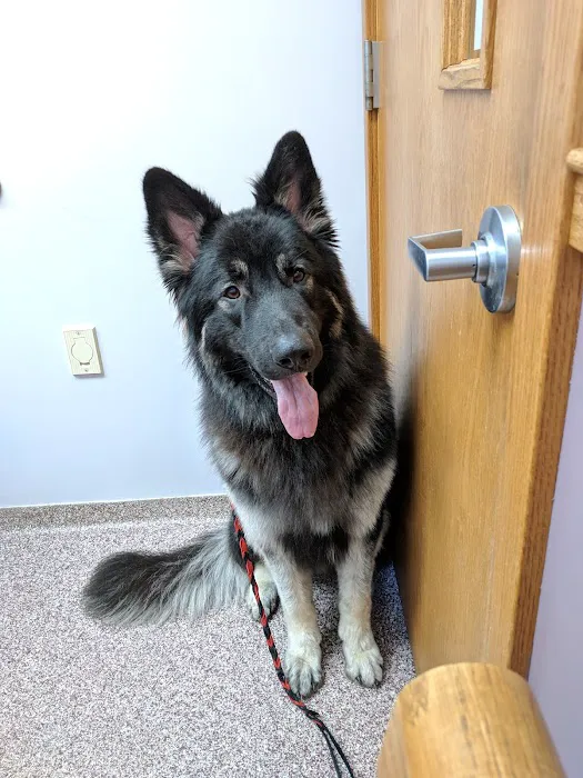 VCA Morris Animal Hospital Picture 1