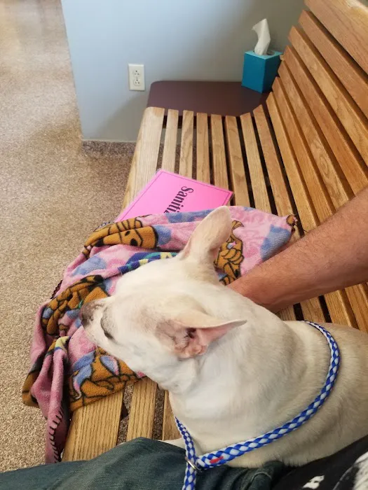 VCA Morris Animal Hospital Picture 2