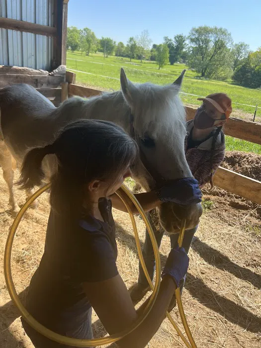 Flying Horse Veterinary Practice Picture 1