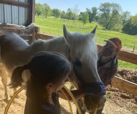Flying Horse Veterinary Practice