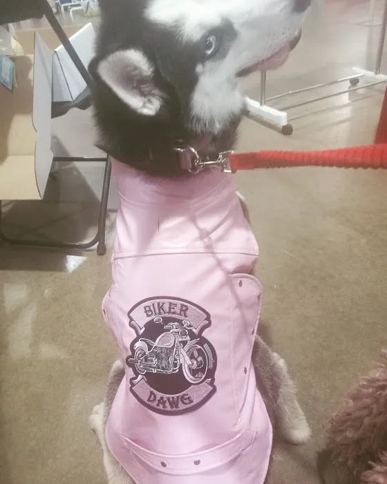 Fair Ave Veterinary Clinic Picture 5
