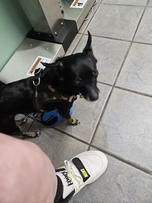 Southern Medina Veterinary Clinic Picture 5
