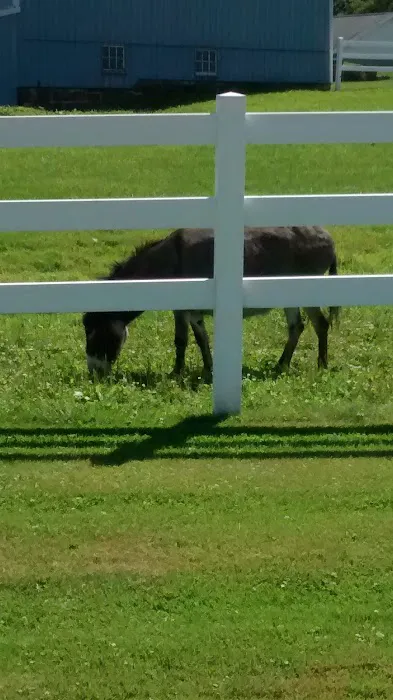 Sharon Center Veterinary Hospital Picture 7