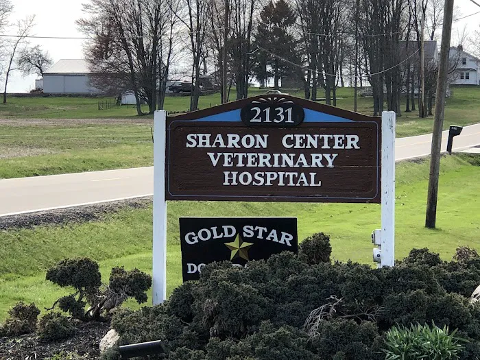 Sharon Center Veterinary Hospital Picture 10