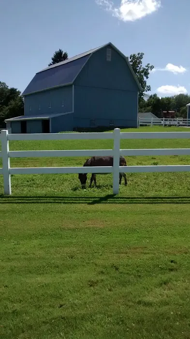 Sharon Center Veterinary Hospital Picture 6