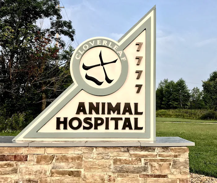 Cloverleaf Animal Hospital Picture 5