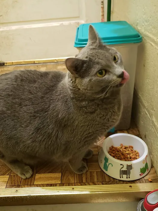 Mission Possible Animal Hospital Picture 10