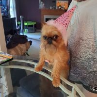 Medina Veterinary Clinic ico