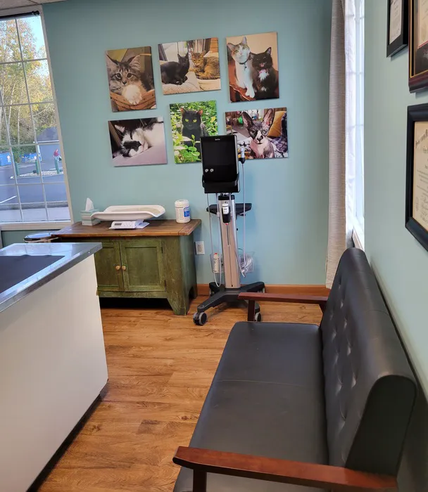 The Gentle Vet Picture 2