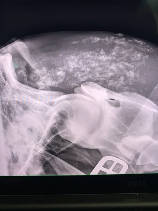 Dr. David Miller, Summit Equine Veterinary Services Picture 1