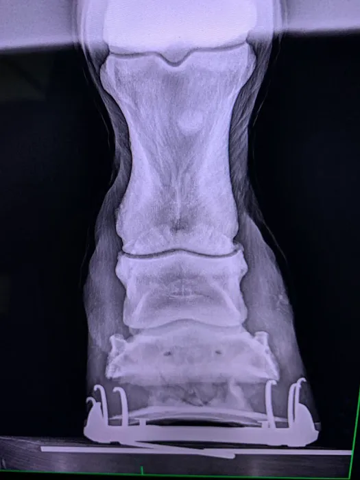 Dr. David Miller, Summit Equine Veterinary Services Picture 6