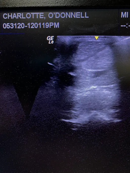 Dr. David Miller, Summit Equine Veterinary Services Picture 5
