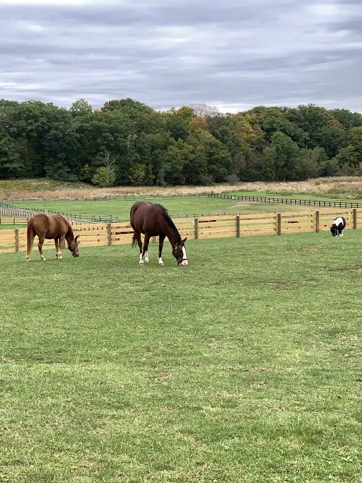 Dr. David Miller, Summit Equine Veterinary Services Picture 10