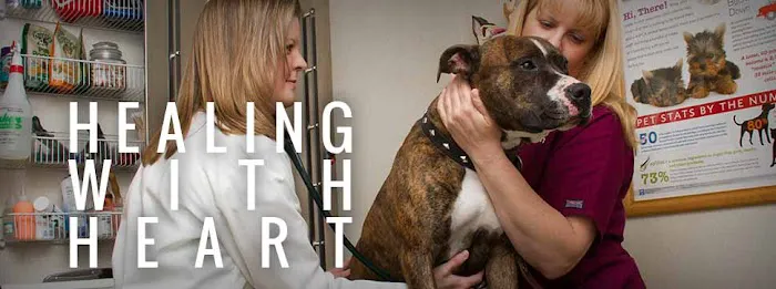 Emerald Animal Hospital Picture 2