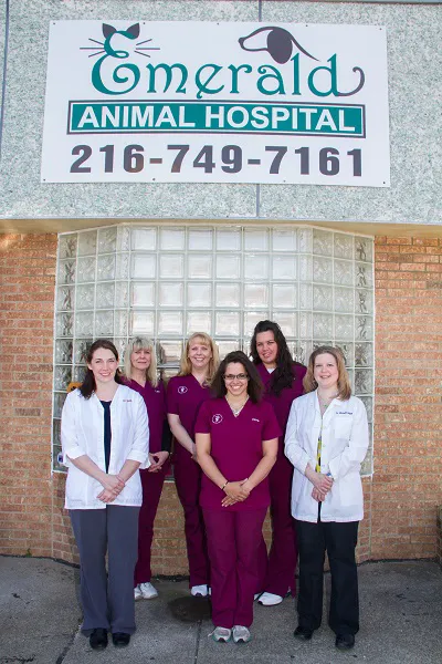 Emerald Animal Hospital Picture 3