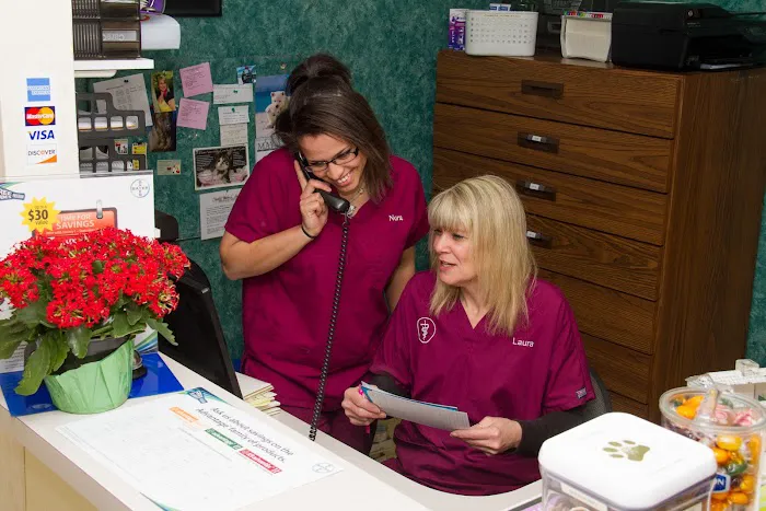 Emerald Animal Hospital Picture 9