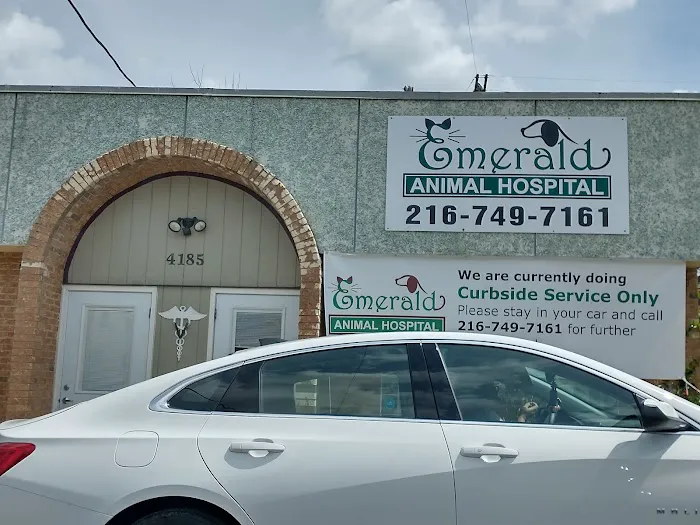 Emerald Animal Hospital Picture 6