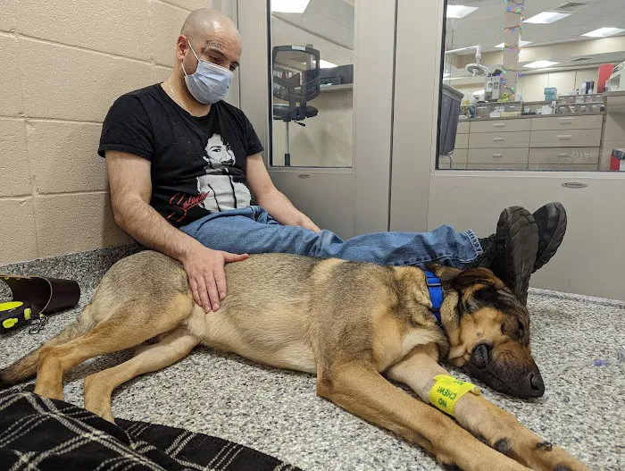Roberts & Wendt Animal Hospital Picture 8