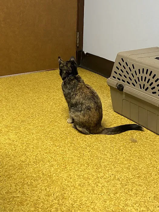Roberts & Wendt Animal Hospital Picture 9