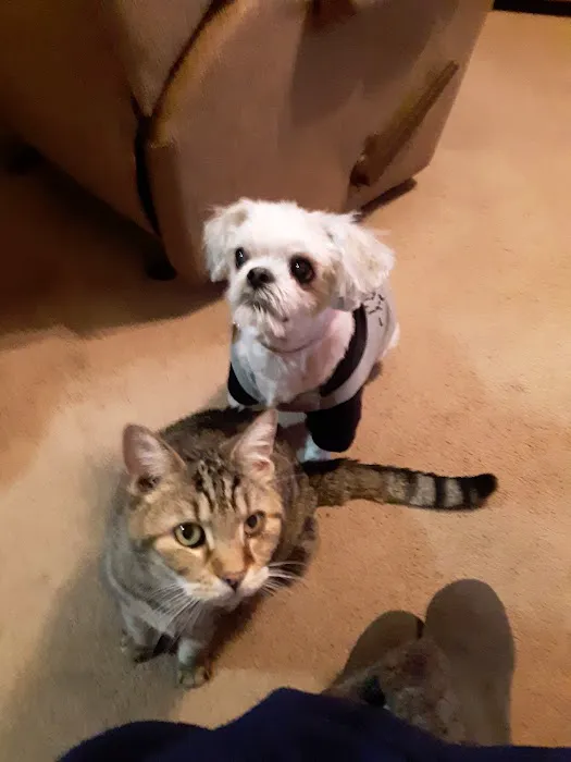 Buckeye Animal Hospital Picture 8