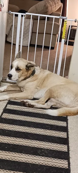 Buckeye Animal Hospital Picture 7