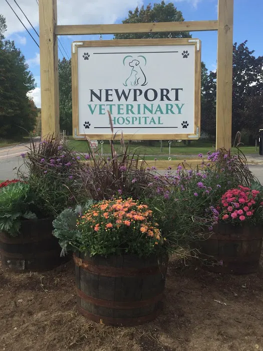 Newport Veterinary Hospital Picture 4