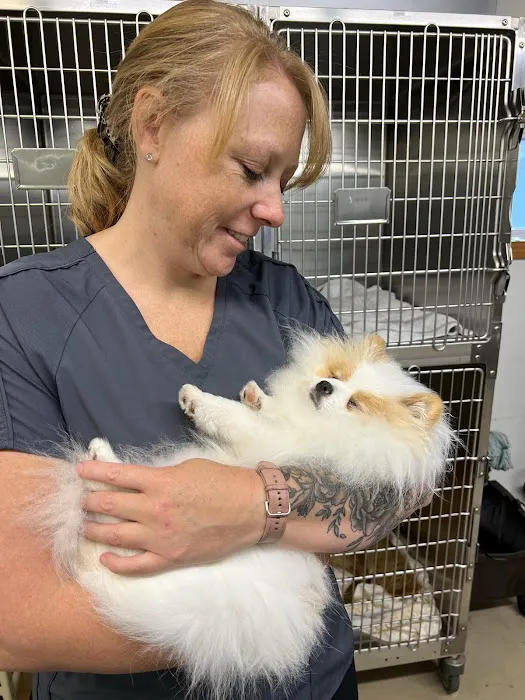 Newport Veterinary Hospital Picture 2