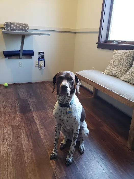 Nelson Veterinary Associates, Inc Picture 3