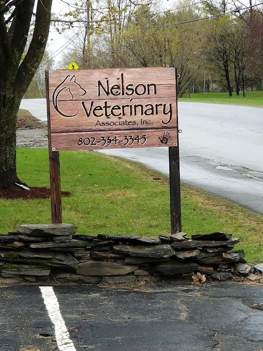 Nelson Veterinary Associates, Inc Picture 10