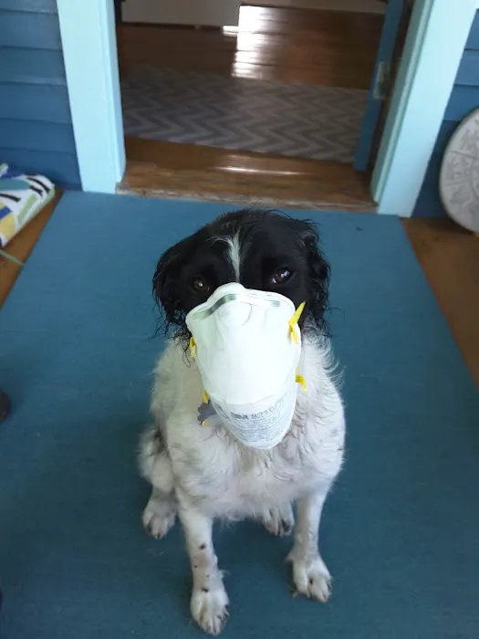Harbor Road Veterinary Hospital Picture 8