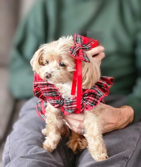 Rockland Animal Hospital Picture 5
