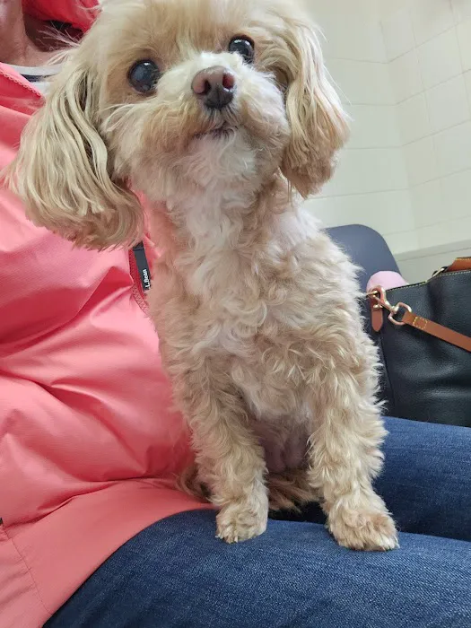 Rockland Animal Hospital Picture 6