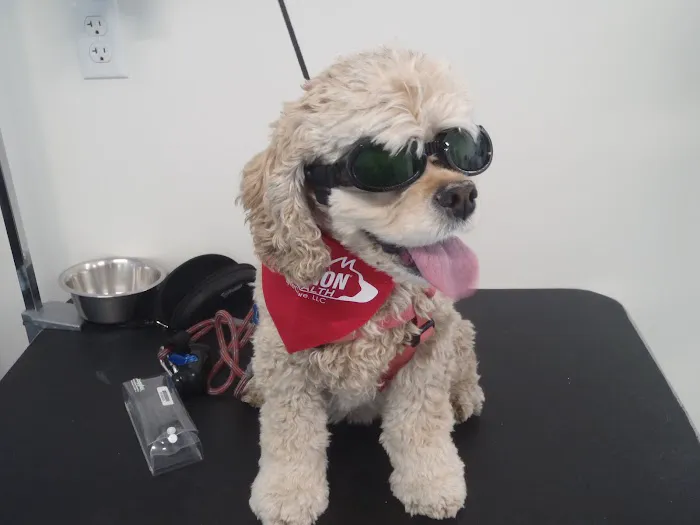 Rockland Animal Hospital Picture 10