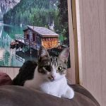 Daggett Barbara M DVM
