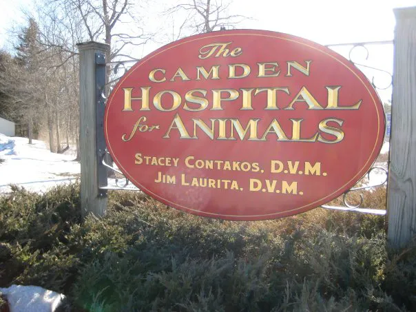 The Camden Hospital for Animals Picture 1